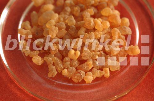 Arabischer Weihrauch (Boswellia sacra), Harzbrocken auf einem Glasteller<BR>frankincense (Boswellia sacra), dried tree sap - R. Koenig Arabischer Weihrauch (Boswellia sacra), Harzbrocken auf einem Glasteller<BR>frankincense (Boswellia sacra), dried tree sap - R. Koenig