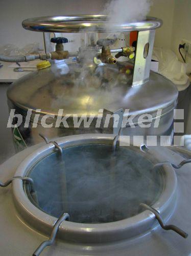 Blickwinkel Fluessiger Stickstoff Aus Stickstofftank Wird In